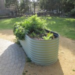 800mm high pale eucalypt raised colorbond garden bed